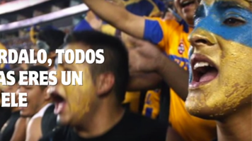 Videos