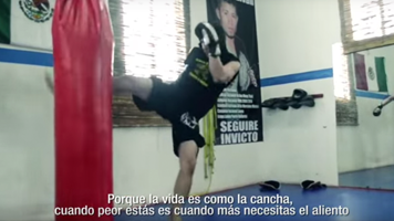 Videos